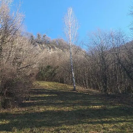 La Dépendance Du Château De Triviers. Apartamento *